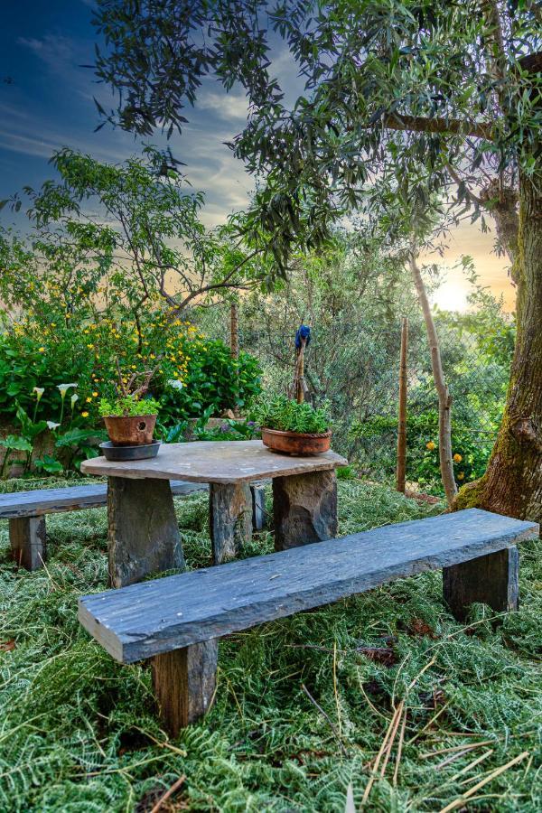 Casa Fundo Dos Palheiros Villa Sobrainho dos Gaios Dış mekan fotoğraf